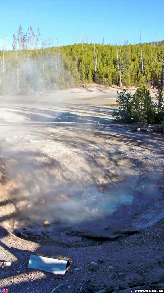 Yellowstone-Nationalpark. Yellow Funnel Spring, Back Basin - Norris Geyser Basin - Yellowstone-Nationalpark. - Norris Geyser Basin, Back Basin, Yellow Funnel Spring - (Canyon Junction, Yellowstone National Park, Wyoming, Vereinigte Staaten)