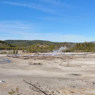 Yellowstone-Nationalpark. Back Basin - Norris Geyser Basin - Yellowstone-Nationalpark. - Norris Geyser Basin, Back Basin - (Canyon Junction, Yellowstone National Park, Wyoming, Vereinigte Staaten)
