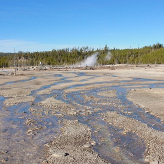 Yellowstone-Nationalpark. Back Basin - Norris Geyser Basin - Yellowstone-Nationalpark. - Norris Geyser Basin, Back Basin - (Canyon Junction, Yellowstone National Park, Wyoming, Vereinigte Staaten)