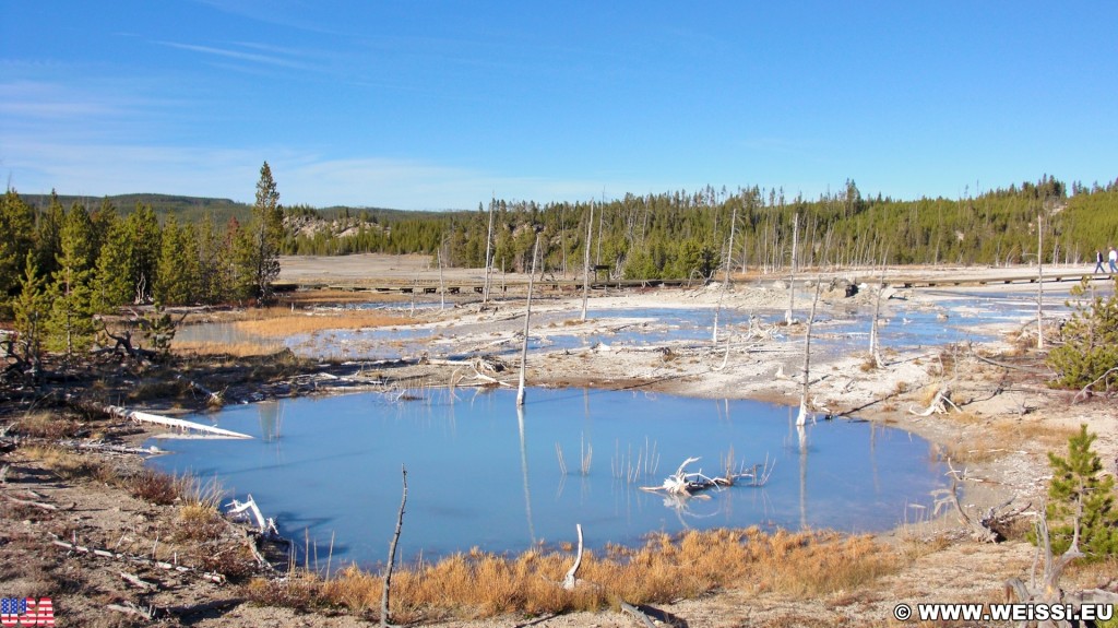 Yellowstone-Nationalpark. Back Basin - Norris Geyser Basin - Yellowstone-Nationalpark. - Norris Geyser Basin, Back Basin - (Canyon Junction, Yellowstone National Park, Wyoming, Vereinigte Staaten)