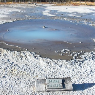 Yellowstone-Nationalpark. Pearl Geyser, Back Basin - Norris Geyser Basin - Yellowstone-Nationalpark. - Norris Geyser Basin, Back Basin, Pearl Geyser - (Canyon Junction, Yellowstone National Park, Wyoming, Vereinigte Staaten)