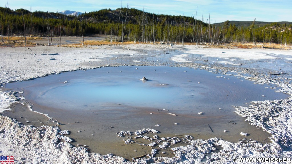 Yellowstone-Nationalpark. Pearl Geyser, Back Basin - Norris Geyser Basin - Yellowstone-Nationalpark. - Norris Geyser Basin, Back Basin, Pearl Geyser - (Canyon Junction, Yellowstone National Park, Wyoming, Vereinigte Staaten)