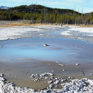 Yellowstone-Nationalpark. Pearl Geyser, Back Basin - Norris Geyser Basin - Yellowstone-Nationalpark. - Norris Geyser Basin, Back Basin, Pearl Geyser - (Canyon Junction, Yellowstone National Park, Wyoming, Vereinigte Staaten)