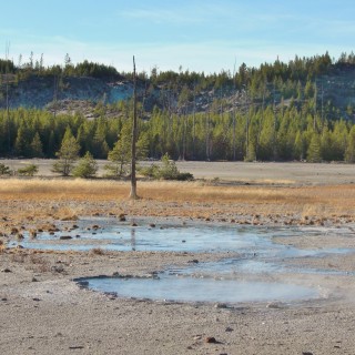 Yellowstone-Nationalpark. Plapitator Spring, Back Basin - Norris Geyser Basin - Yellowstone-Nationalpark. - Norris Geyser Basin, Back Basin, Plapitator Spring - (Canyon Junction, Yellowstone National Park, Wyoming, Vereinigte Staaten)