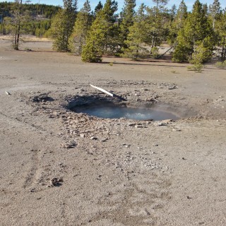 Yellowstone-Nationalpark. Fearless Geyser, Back Basin - Norris Geyser Basin - Yellowstone-Nationalpark. - Norris Geyser Basin, Back Basin, Fearless Geyser - (Canyon Junction, Yellowstone National Park, Wyoming, Vereinigte Staaten)