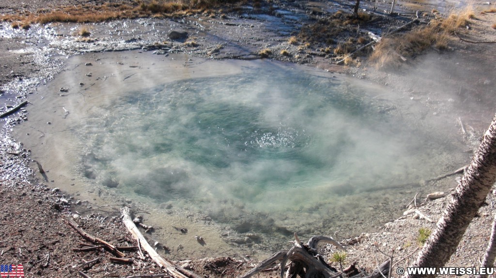 Yellowstone-Nationalpark. Branch Spring, Back Basin - Norris Geyser Basin - Yellowstone-Nationalpark. - Norris Geyser Basin, Back Basin, Branch Spring - (Canyon Junction, Yellowstone National Park, Wyoming, Vereinigte Staaten)