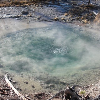Yellowstone-Nationalpark. Branch Spring, Back Basin - Norris Geyser Basin - Yellowstone-Nationalpark. - Norris Geyser Basin, Back Basin, Branch Spring - (Canyon Junction, Yellowstone National Park, Wyoming, Vereinigte Staaten)
