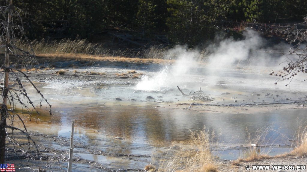 Yellowstone-Nationalpark. Minute Geyser, Back Basin - Norris Geyser Basin - Yellowstone-Nationalpark. - Norris Geyser Basin, Back Basin, Minute Geyser - (Canyon Junction, Yellowstone National Park, Wyoming, Vereinigte Staaten)