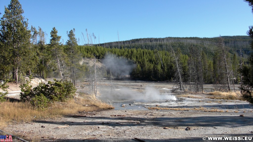 Yellowstone-Nationalpark. Minute Geyser, Back Basin - Norris Geyser Basin - Yellowstone-Nationalpark. - Norris Geyser Basin, Back Basin, Minute Geyser - (Canyon Junction, Yellowstone National Park, Wyoming, Vereinigte Staaten)