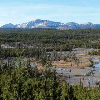 Yellowstone-Nationalpark. Porcelain Basin, Back Basin - Norris Geyser Basin - Yellowstone-Nationalpark. - Norris Geyser Basin, Porcelain Basin, Back Basin - (Canyon Junction, Yellowstone National Park, Wyoming, Vereinigte Staaten)