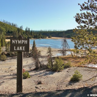 Yellowstone-Nationalpark. Nymph Lake - Yellowstone-Nationalpark. - Schild, Tafel, Ankünder, Bäume, See, Wasser, Ufer, Nymph Lake - (Canyon Junction, Yellowstone National Park, Wyoming, Vereinigte Staaten)