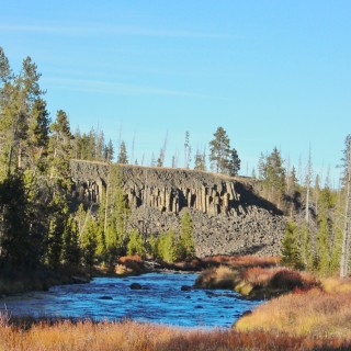 Yellowstone-Nationalpark. Basaltsäulen am Sheepeater Cliff - Yellowstone-Nationalpark. - Bäume, Felswand, Basaltsäulen, Sheepeater Cliff - (Mammoth, Yellowstone National Park, Wyoming, Vereinigte Staaten)