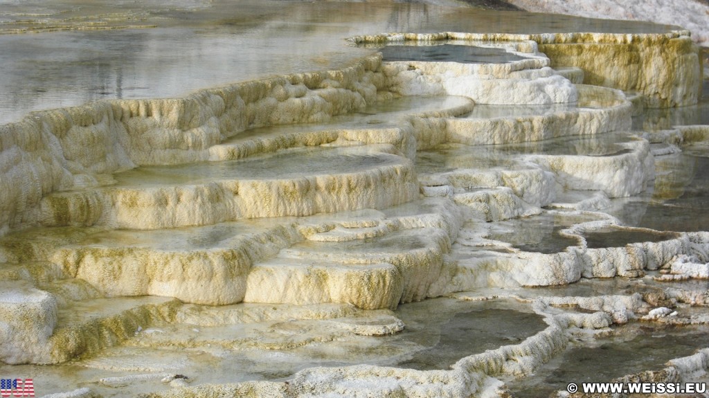 Yellowstone-Nationalpark. Pallete Spring. - Lower Terraces, Mammoth Hot Springs, Palette Spring, Sinter-Terrassen - (Mammoth, Yellowstone National Park, Wyoming, Vereinigte Staaten)