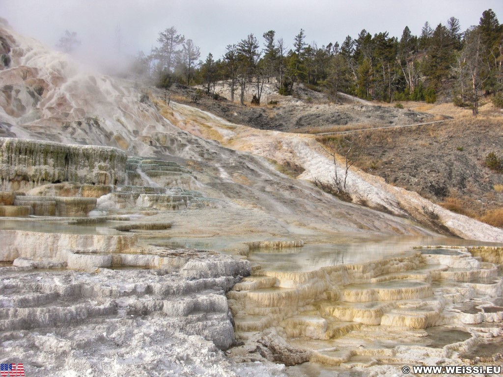 Yellowstone-Nationalpark. Palette Spring, Mammoth Hot Springs - Yellowstone-Nationalpark. - Lower Terraces, Mammoth Hot Springs, Palette Spring, Sinter-Terrassen - (Mammoth, Yellowstone National Park, Wyoming, Vereinigte Staaten)