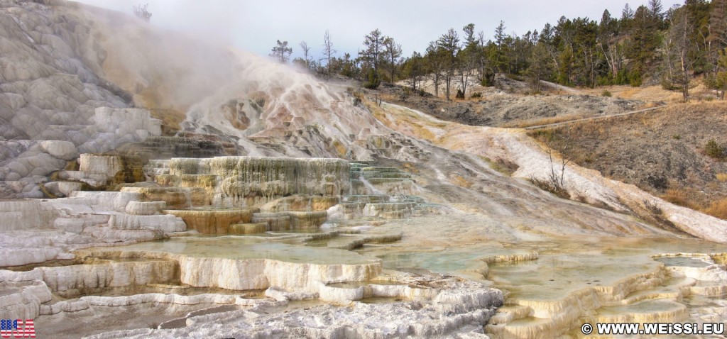 Palette Spring, Mammoth Hot Springs - Yellowstone-Nationalpark. - Lower Terraces, Mammoth Hot Springs, Palette Spring, Sinter-Terrassen - (Mammoth, Yellowstone National Park, Wyoming, Vereinigte Staaten)