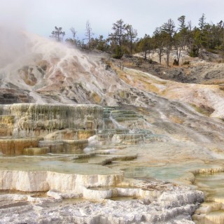 Palette Spring, Mammoth Hot Springs - Yellowstone-Nationalpark. - Lower Terraces, Mammoth Hot Springs, Palette Spring, Sinter-Terrassen - (Mammoth, Yellowstone National Park, Wyoming, Vereinigte Staaten)