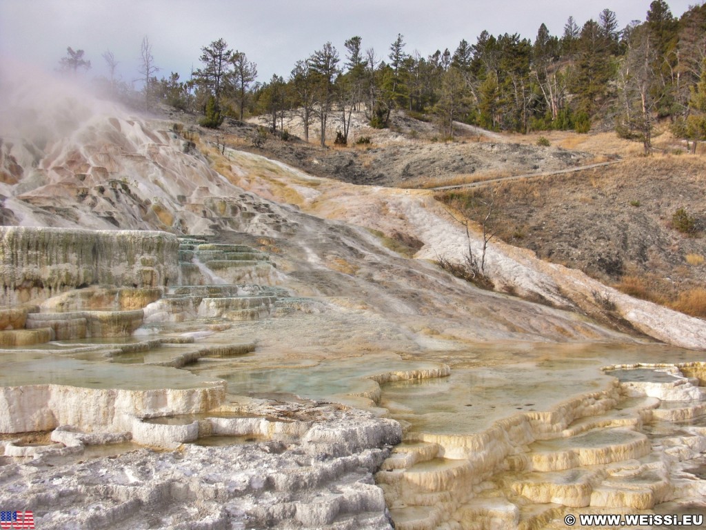 Yellowstone-Nationalpark. Palette Spring, Mammoth Hot Springs - Yellowstone-Nationalpark. - Lower Terraces, Mammoth Hot Springs, Palette Spring, Sinter-Terrassen - (Mammoth, Yellowstone National Park, Wyoming, Vereinigte Staaten)
