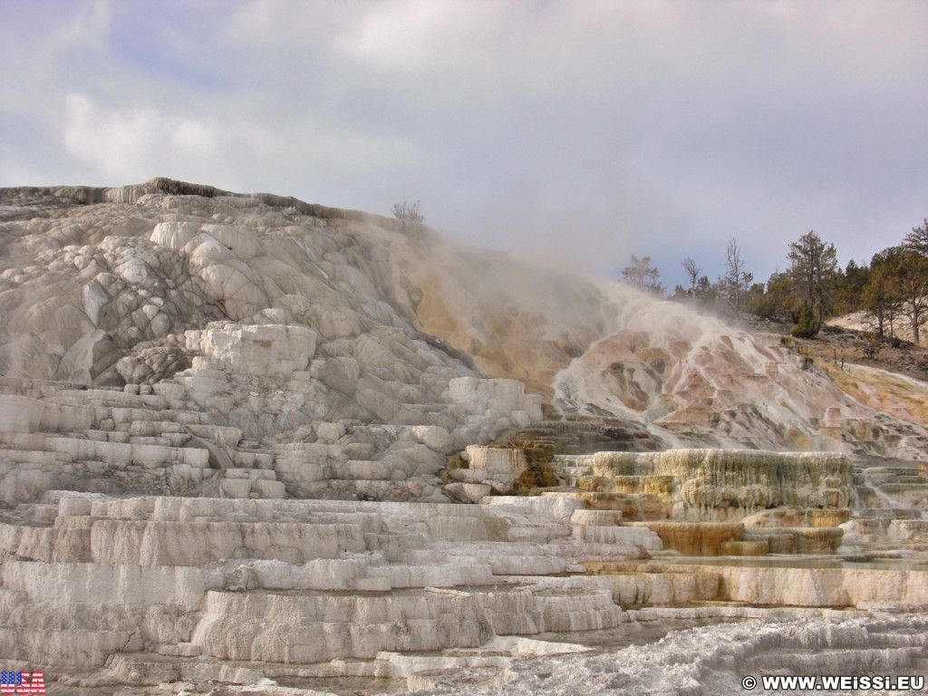 Yellowstone-Nationalpark. Palette Spring, Mammoth Hot Springs - Yellowstone-Nationalpark. - Lower Terraces, Mammoth Hot Springs, Palette Spring, Sinter-Terrassen - (Mammoth, Yellowstone National Park, Wyoming, Vereinigte Staaten)