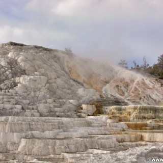 Yellowstone-Nationalpark. Palette Spring, Mammoth Hot Springs - Yellowstone-Nationalpark. - Lower Terraces, Mammoth Hot Springs, Palette Spring, Sinter-Terrassen - (Mammoth, Yellowstone National Park, Wyoming, Vereinigte Staaten)