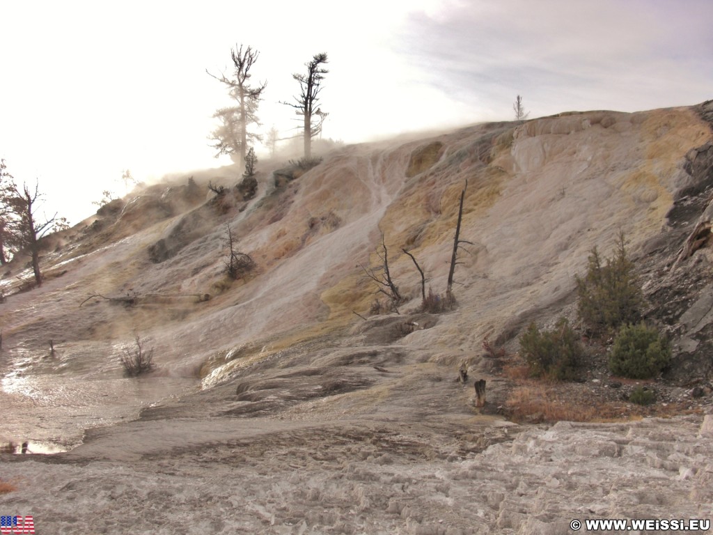 Yellowstone-Nationalpark. Palette Spring, Mammoth Hot Springs - Yellowstone-Nationalpark. - Lower Terraces, Mammoth Hot Springs, Palette Spring, Sinter-Terrassen - (Mammoth, Yellowstone National Park, Wyoming, Vereinigte Staaten)