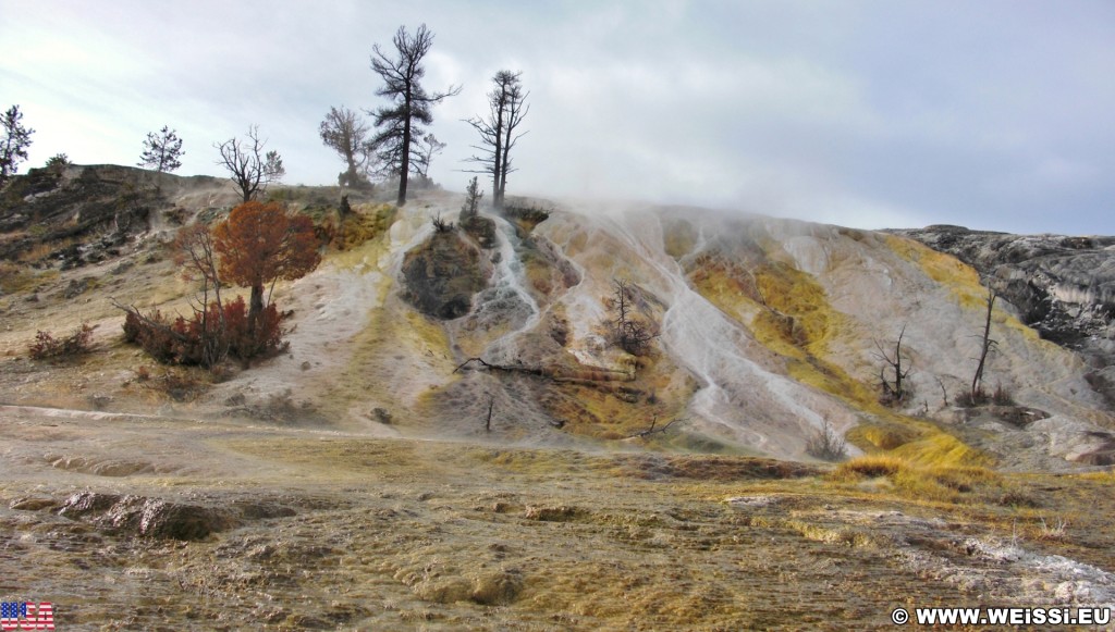 Palette Spring, Mammoth Hot Springs - Yellowstone-Nationalpark. - Lower Terraces, Mammoth Hot Springs, Palette Spring - (Mammoth, Yellowstone National Park, Wyoming, Vereinigte Staaten)