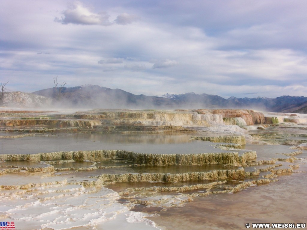 Trail Springs, Mammoth Hot Springs - Yellowstone-Nationalpark. - Main Terrace, Mammoth Hot Springs, Sinter-Terrassen, Trail Springs - (Mammoth, Yellowstone National Park, Wyoming, Vereinigte Staaten)