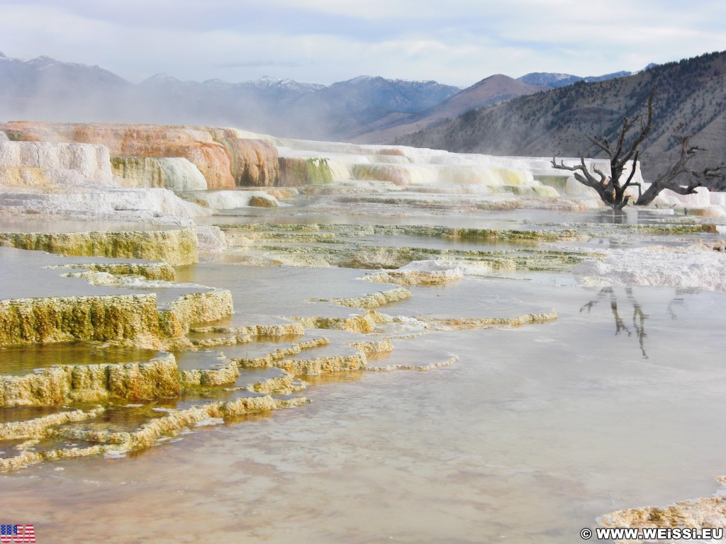 Trail Springs, Mammoth Hot Springs - Yellowstone-Nationalpark. - Main Terrace, Mammoth Hot Springs, Sinter-Terrassen, Trail Springs - (Mammoth, Yellowstone National Park, Wyoming, Vereinigte Staaten)