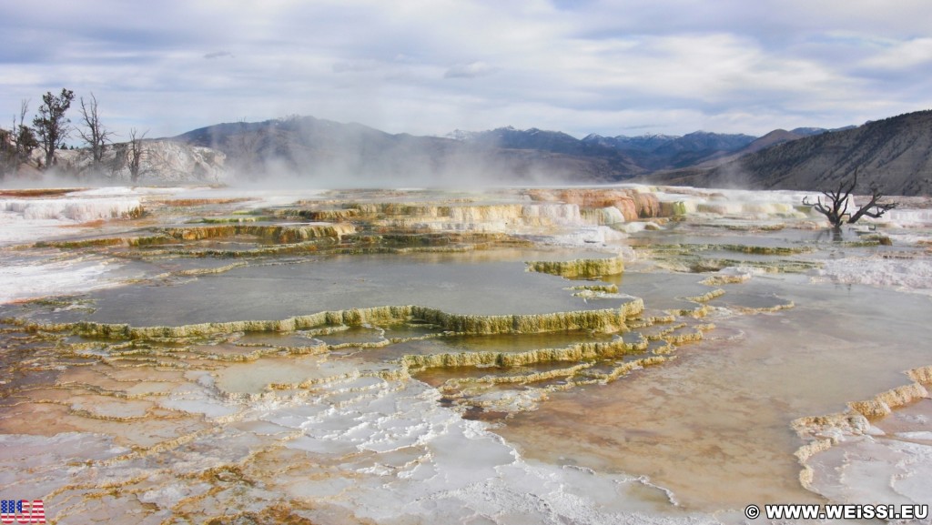 Trail Springs, Mammoth Hot Springs - Yellowstone-Nationalpark. - Main Terrace, Mammoth Hot Springs, Sinter-Terrassen, Trail Springs - (Mammoth, Yellowstone National Park, Wyoming, Vereinigte Staaten)