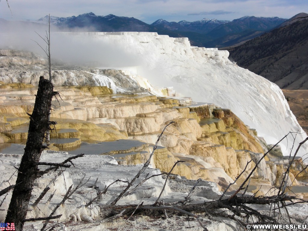 Canary Springs, Mammoth Hot Springs - Yellowstone-Nationalpark. - Main Terrace, Mammoth Hot Springs, Sinter-Terrassen, Canary Springs - (Mammoth, Yellowstone National Park, Wyoming, Vereinigte Staaten)