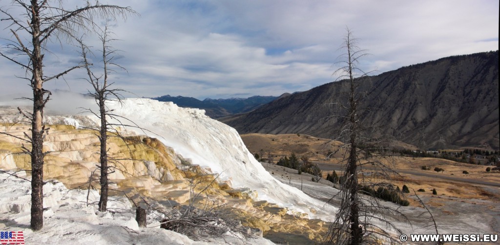 Canary Springs, Mammoth Hot Springs - Yellowstone-Nationalpark. - Main Terrace, Mammoth Hot Springs, Sinter-Terrassen, Canary Springs - (Mammoth, Yellowstone National Park, Wyoming, Vereinigte Staaten)