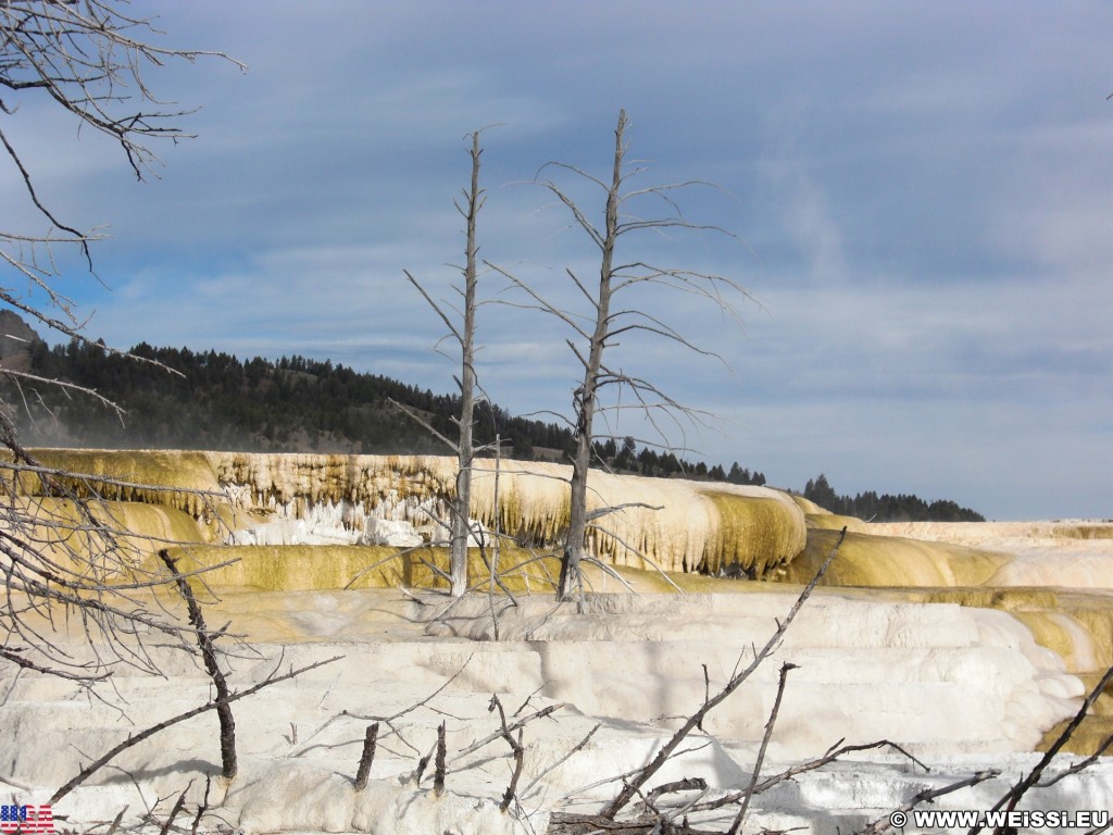 Canary Springs, Mammoth Hot Springs - Yellowstone-Nationalpark. - Main Terrace, Mammoth Hot Springs, Sinter-Terrassen, Canary Springs - (Mammoth, Yellowstone National Park, Wyoming, Vereinigte Staaten)