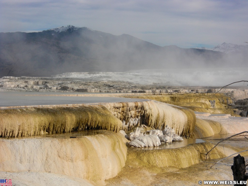 Canary Springs, Mammoth Hot Springs - Yellowstone-Nationalpark. - Main Terrace, Mammoth Hot Springs, Sinter-Terrassen, Canary Springs - (Mammoth, Yellowstone National Park, Wyoming, Vereinigte Staaten)