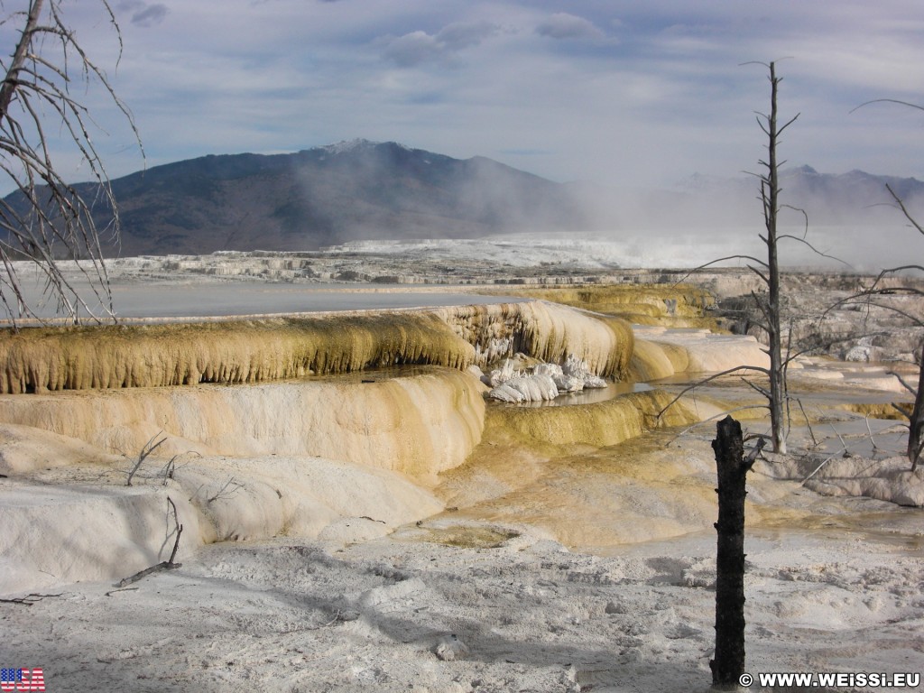 Canary Springs, Mammoth Hot Springs - Yellowstone-Nationalpark. - Main Terrace, Mammoth Hot Springs, Sinter-Terrassen, Canary Springs - (Mammoth, Yellowstone National Park, Wyoming, Vereinigte Staaten)