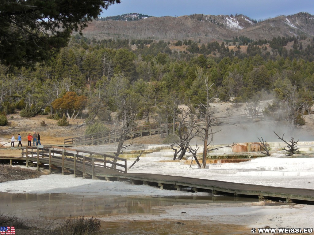 Trail Springs, Mammoth Hot Springs - Yellowstone-Nationalpark. - Main Terrace, Mammoth Hot Springs, Sinter-Terrassen, Trail Springs - (Mammoth, Yellowstone National Park, Wyoming, Vereinigte Staaten)