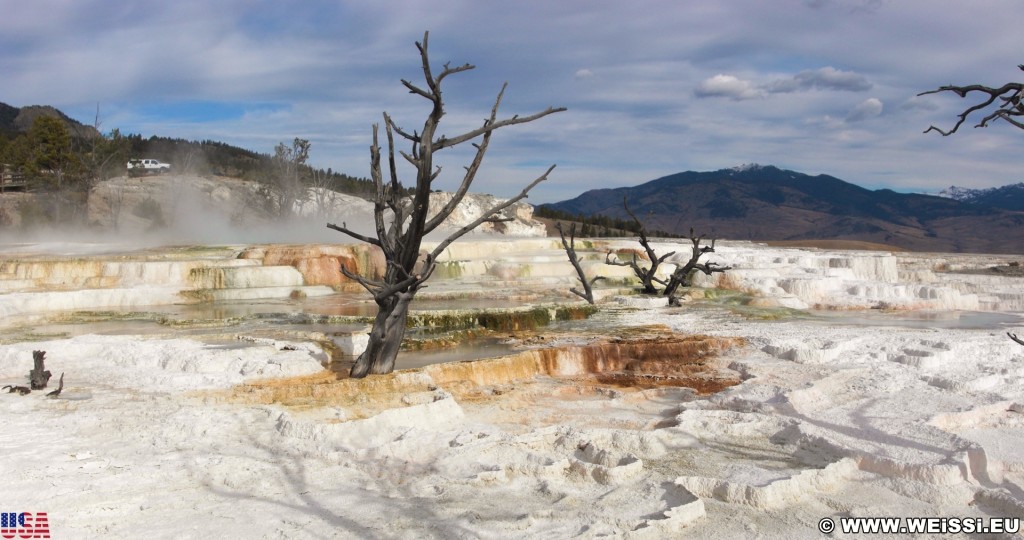 Trail Springs, Mammoth Hot Springs - Yellowstone-Nationalpark. - Main Terrace, Mammoth Hot Springs, Sinter-Terrassen, Trail Springs - (Mammoth, Yellowstone National Park, Wyoming, Vereinigte Staaten)