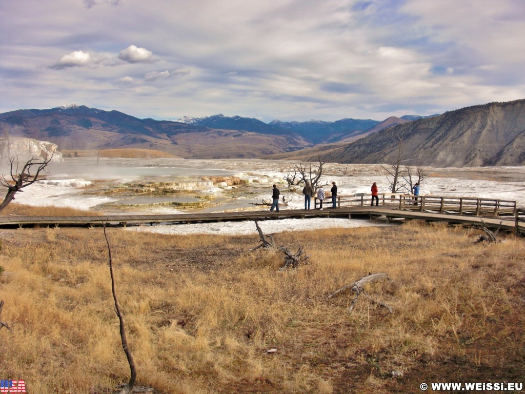 Trail Springs, Mammoth Hot Springs - Yellowstone-Nationalpark. - Main Terrace, Mammoth Hot Springs, Sinter-Terrassen, Trail Springs - (Mammoth, Yellowstone National Park, Wyoming, Vereinigte Staaten)