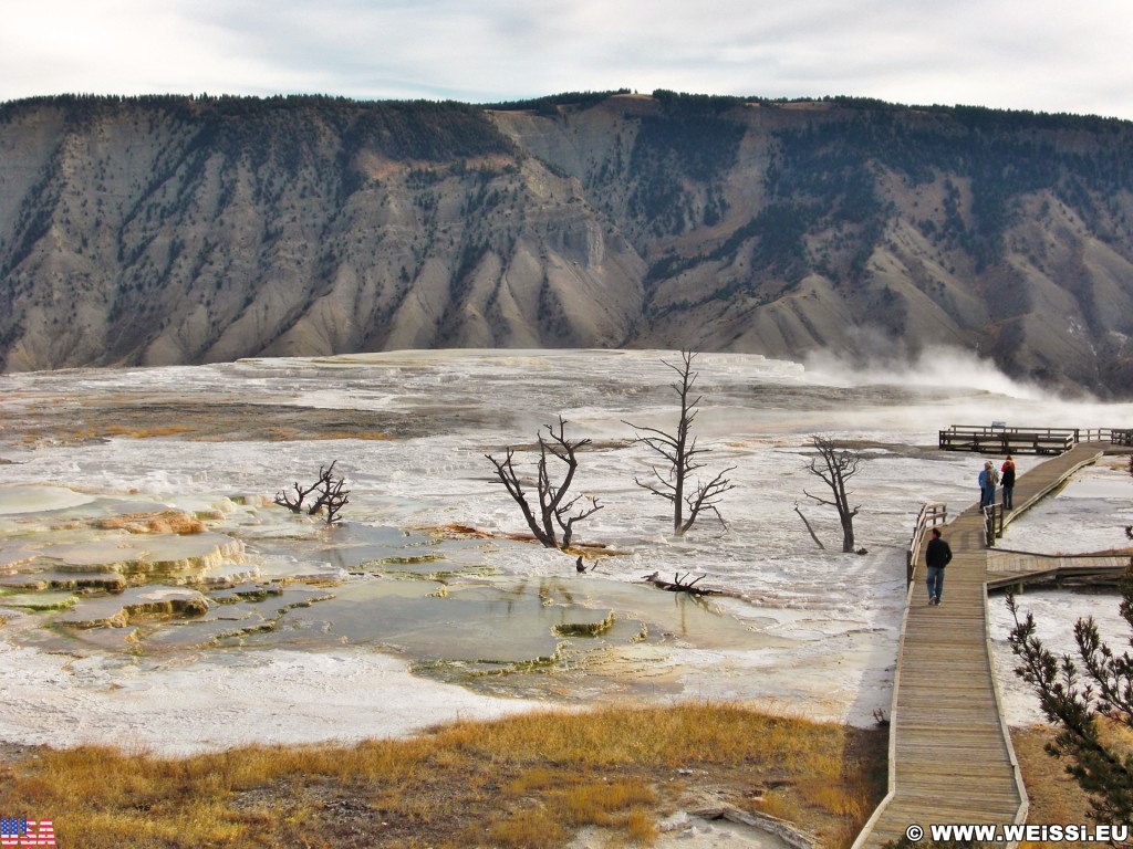 Trail Springs, Mammoth Hot Springs - Yellowstone-Nationalpark. - Main Terrace, Mammoth Hot Springs, Sinter-Terrassen, Trail Springs, Canary Springs - (Mammoth, Yellowstone National Park, Wyoming, Vereinigte Staaten)