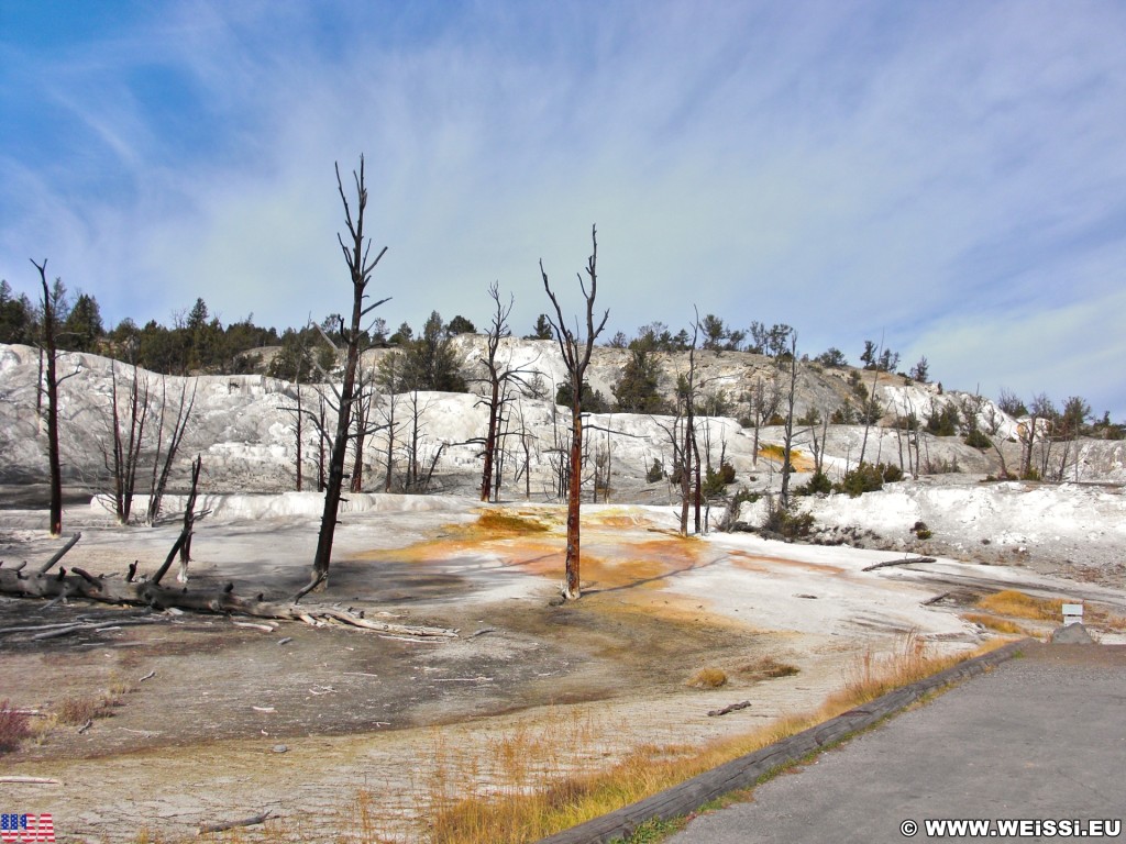 Yellowstone-Nationalpark. Angel Terrace, Mammoth Hot Springs - Yellowstone-Nationalpark. - Upper Terrace Loop, Mammoth Hot Springs, Sinter-Terrassen, Upper Terraces, Angel Terrace - (Mammoth, Yellowstone National Park, Wyoming, Vereinigte Staaten)