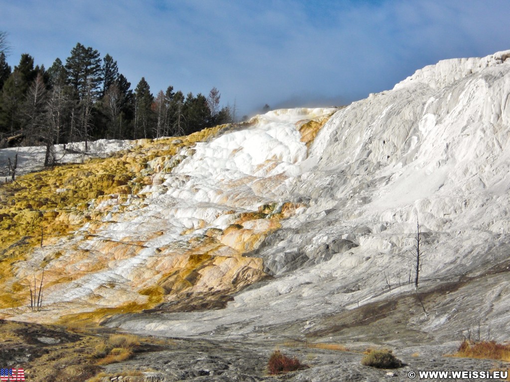 Canary Springs Overlook, Mammoth Hot Springs - Yellowstone-Nationalpark. - Mammoth Hot Springs, Sinter-Terrassen, Canary Springs, Canary Springs Overlook - (Mammoth, Yellowstone National Park, Wyoming, Vereinigte Staaten)