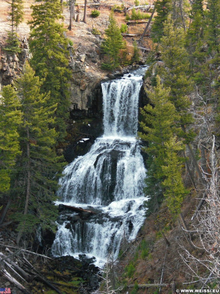 Yellowstone-Nationalpark. Undine Falls - Yellowstone-Nationalpark. - Bäume, Wasserfall, Wasser, Mammoth Hot Springs, Undine Falls - (Mammoth, Yellowstone National Park, Wyoming, Vereinigte Staaten)