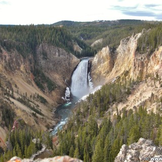 Yellowstone-Nationalpark. Grand Canyon of the Yellowstone, Lower Falls vom Lookout Point am North Rim - Yellowstone-Nationalpark. - Landschaft, Wasserfall, Fluss, Yellowstone River, Lower Falls, Lookout Point, Canyon Village, Grand Canyon of the Yellowstone - (Canyon Village, Yellowstone National Park, Wyoming, Vereinigte Staaten)