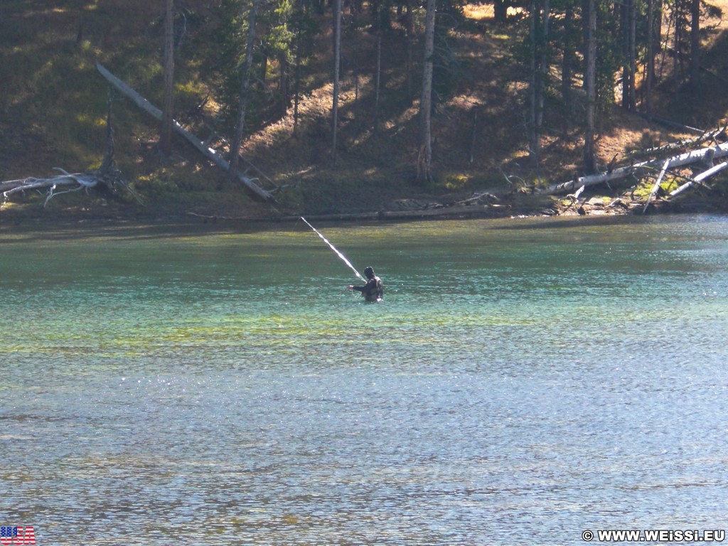 Yellowstone-Nationalpark. Fischer im Yellowstone River - Yellowstone-Nationalpark. - Fluss, Wasser, Yellowstone River, Canyon Village, Fischer - (Canyon Village, Yellowstone National Park, Wyoming, Vereinigte Staaten)