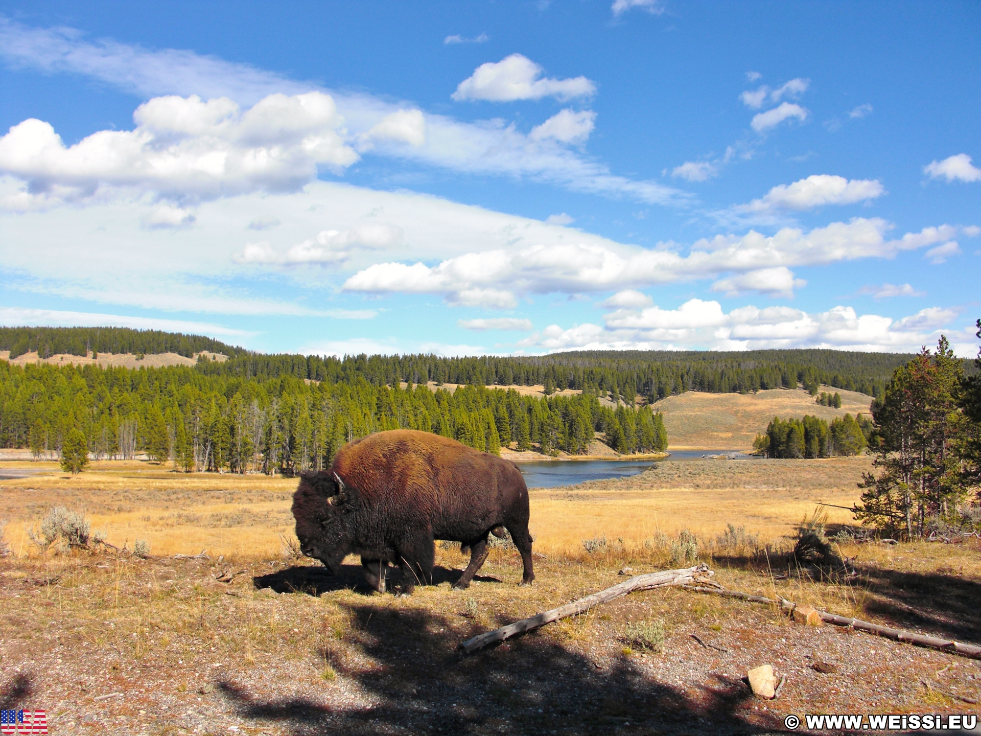 10. Tag, Yellowstone-Nationalpark