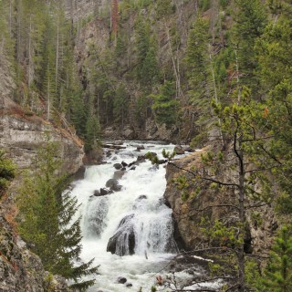 Yellowstone-Nationalpark. Firehole Falls - Yellowstone-Nationalpark. - Wasserfälle, Madison, Firehole Falls, Firehole Canyon Drive - (Riverside, Yellowstone National Park, Wyoming, Vereinigte Staaten)