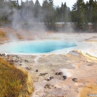 Yellowstone-Nationalpark. Silex Spring am Fountain Paint Pot Nature Trail im Lower Geyser Basin. - Lower Geyser Basin, Fountain Paint Pot Nature Trail, Silex Spring, Fountain Group - (West Thumb, Yellowstone National Park, Wyoming, Vereinigte Staaten)