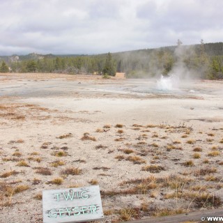 Yellowstone-Nationalpark. Twig Geyser am Fountain Paint Pot Nature Trail im Lower Geyser Basin. - Lower Geyser Basin, Fountain Paint Pot Nature Trail, Fountain Group, Twig Geyser - (West Thumb, Yellowstone National Park, Wyoming, Vereinigte Staaten)