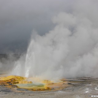 Yellowstone-Nationalpark. Spasm Geyser am Fountain Paint Pot Nature Trail im Lower Geyser Basin. - Lower Geyser Basin, Fountain Paint Pot Nature Trail, Fountain Group, Spasm Geyser - (West Thumb, Yellowstone National Park, Wyoming, Vereinigte Staaten)