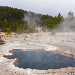 Yellowstone-Nationalpark. Surprise Pool am Firehole Lake Drive im Lower Geyser Basin. - Thermalquelle, Lower Geyser Basin, Firehole Lake Drive, Great Fountain Group, Surprise Pool - (West Thumb, Yellowstone National Park, Wyoming, Vereinigte Staaten)