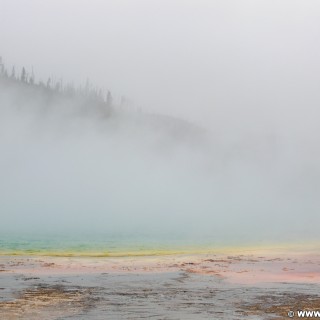 Yellowstone-Nationalpark. Grand Prismatic Pool im Midway Geyser Basin. - Thermalquelle, Midway Geyser Basin, Grand Prismatic Pool - (Riverside, Yellowstone National Park, Wyoming, Vereinigte Staaten)