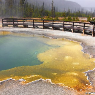 Yellowstone-Nationalpark. Emerald Pool im Black Sand Basin. - Thermalquelle, Black Sand Basin, Emerald Pool - (Three River Junction, Yellowstone National Park, Wyoming, Vereinigte Staaten)